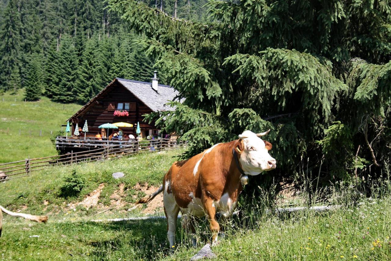 Chalet 164 Bad Goisern Eksteriør billede