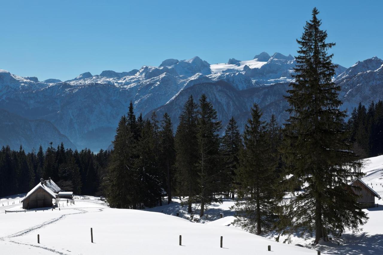 Chalet 164 Bad Goisern Eksteriør billede